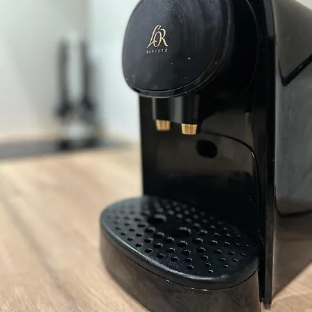 Maison De L'aar Le Diamant Luxueux Et Neuf 2 Grand Salon Strasburgo