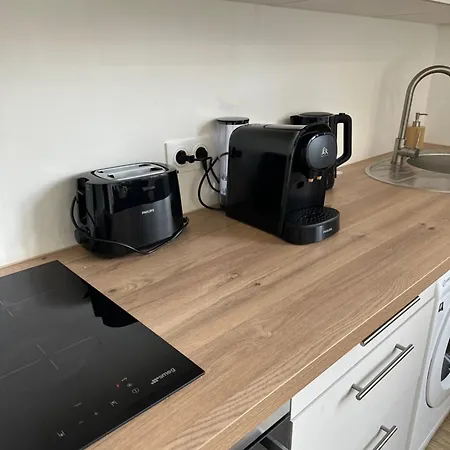 Maison De L'aar Le Diamant Luxueux Et Neuf 2 Grand Salon Sejour * Straßburg