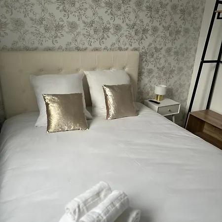 Maison De L'aar Le Diamant Luxueux Et Neuf 2 Grand Salon Sejour * 스트라스부르